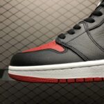 Air-Jordan-1-Retro-High-Homage-To-Home-1-1.jpg