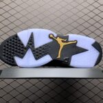 Air-Jordan-6-DMP-Noir-Gold-1.jpg