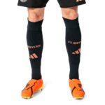 Chaussettes-Bayern-Munich-Exterieur-2024-2025.jpg