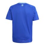 MAILLOT-ENFANT-ARGENTINE-EXTERIEUR-2024-2025-1.jpg