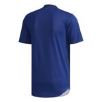 MAILLOT-JAPON-DOMICILE-2018-1.jpg