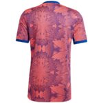 MAILLOT-JUVENTUS-THIRD-2022-2023-1.jpg