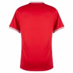 MAILLOT-POLOGNE-EXTERIEUR-EURO-2024-QUALIFICATIONS-1.jpg