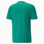 MAILLOT-SENEGAL-EXTERIEUR-COUPE-DU-MONDE-2022-1.jpg