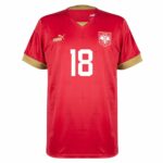 MAILLOT-SERBIE-DOMICILE-COUPE-DU-MONDE-2022-VLAHOVIC-1.jpeg