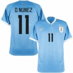 MAILLOT URUGUAY DOMICILE 2023 2024 D.NUNEZ