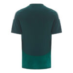 Maillot-Al-Ahli-Saudi-Exterieur-2024-2025.jpg