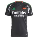 Maillot-Arsenal-Exterieur-2024-2025-Gabriel.jpg