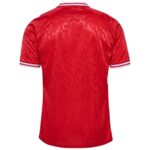 Maillot-Danemark-Domicile-Euro-2024-1.jpg