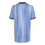 Maillot-Enfant-Tottenham-Exterieur-2024-2025-3.jpg