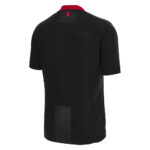 Maillot-Georgie-Exterieur-Euro-2024-1.jpg