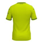 Maillot-Hoffenheim-Third-2024-2025.jpg