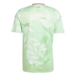 Maillot-Italie-Exterieur-Euro-2025-Homme.jpg