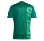 Maillot-Italie-Pre-Match-2024-2025-1.jpg
