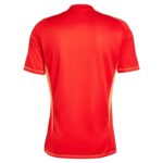 Maillot-Juventus-Domicile-2024-2025-Gardien.jpg
