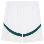 Maillot-Kit-Enfant-Cote-dIvoire-Exterieur-2024-2025.jpg