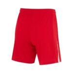 Maillot-Kit-Enfant-Pologne-Exterieur-Euro-2024.jpg