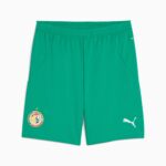 Maillot-Kit-Enfant-Senegal-Exterieur-2024-2025.jpg