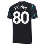 Maillot-Manchester-City-2023-2024-Third-Palmer-1.jpg