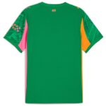 Maillot-Manchester-City-Domicile-2025-2026-Gardien-Vert-1.jpg