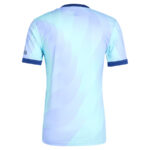 Maillot-Match-Arsenal-Third-2024-2025.jpg