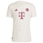 Maillot-Match-Bayern-Munich-2023-2024-Third-1.jpg