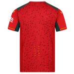 Maillot-Match-Wolverhampton-Exterieur-2023-2024-1.jpg