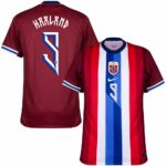 Maillot-Norvege-Domicile-2024-2025-Haaland-2-1.jpg