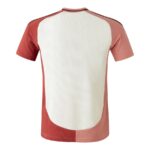 Maillot-OL-Third-2024-2025.jpg