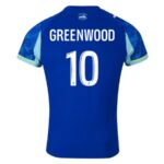 Maillot-OM-Third-2025-2026-Greenwood-1.jpg