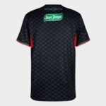 Maillot-Palestino-CL-2024-2025-Exterieur_.jpg