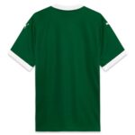 Maillot-Palmeiras-Domicile-2025-2026-1.jpg