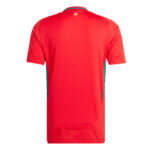 Maillot-Pays-de-Galles-Domicile-Euro-2024-1.jpg