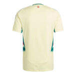 Maillot-Pays-de-Galles-Exterieur-Euro-2024-1.jpg