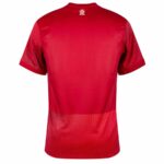 Maillot-Pologne-Exterieur-Badges-Euro-2024-1.jpg