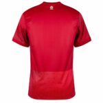 Maillot-Pologne-Exterieur-Euro-2024-1-1.jpg