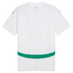 Maillot-Senegal-Domicile-2024-2025.jpg