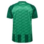 Maillot-Werder-Bremen-Domicile-2024-2025.jpg