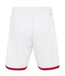 SHORT-ARSENAL-DOMICILE-2023-2024-1.jpg