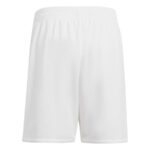 Short-Ajax-Domicile-2024-2025.jpg