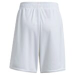 Short-Arsenal-Domicile-2024-2025-2.jpg