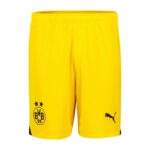 Maillot-Kit-Enfant-BVB-Dortmund-2023-2024-Exterieur-Hummels-1.jpg