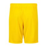 Maillot-Kit-Enfant-BVB-Dortmund-Exterieur-2023-2024-1.jpg