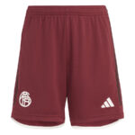 Short Bayern Munich 2023 2024 Third