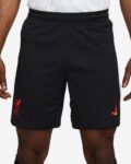 Short-Liverpool-Third-2024-2025.jpg