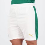 Short-Palmeiras-2024-2025-Domicile-1.jpg