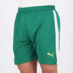 Short-Palmeiras-2024-2025-Exterieur-1.jpg