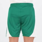 Short-Palmeiras-2024-2025-Exterieur-1.jpg