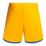 Short-Tigres-Domicile-2023-2024-1.jpg